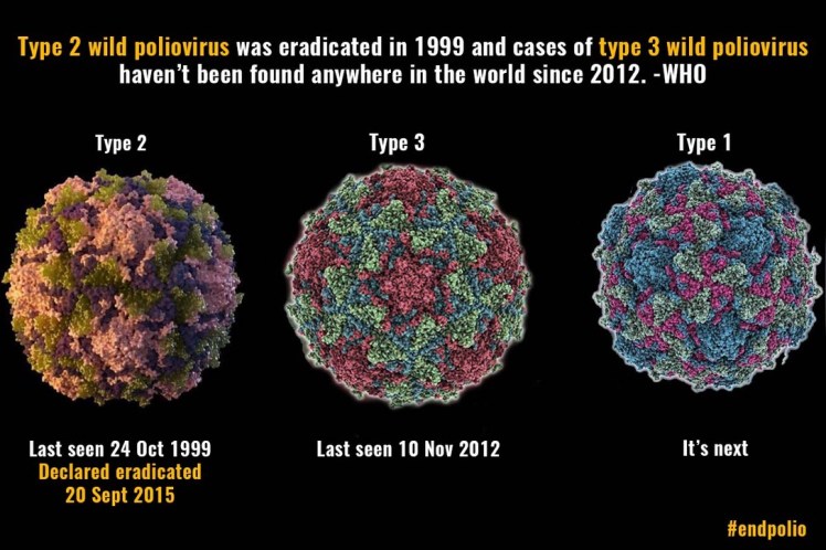 5E8A0A37-E216-488C-A172-7A0E577D605C_1_105_c