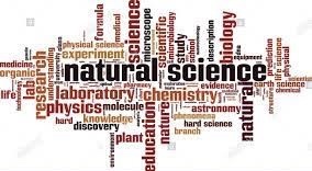 B3D11E34-A39D-478E-8FA8-37A7F6337748_4_5005_c