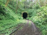 D6B5E874-494A-44A8-8D36-C33188622698_4_5005_c