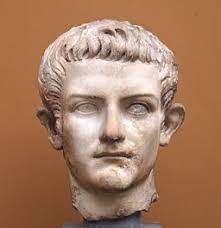 E570D3FC-D675-4090-9797-640A12D2434E_4_5005_c