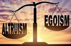 DD2A9186-86FF-420C-A05E-EE6EA7D5B0BA_4_5005_c