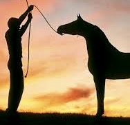 F6D8CDDE-1C5D-47CD-AC7B-D5C4FA4A408D_4_5005_c