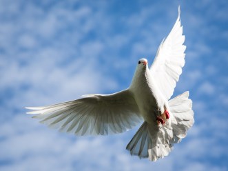 A1BCAE41-5202-4296-936B-3B2811080309